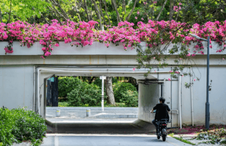 深圳居住证续签如何在手机上操作