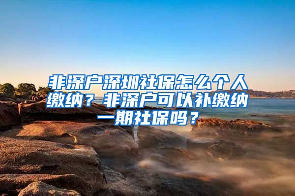 非深户深圳社保怎么个人缴纳？非深户可以补缴纳一期社保吗？