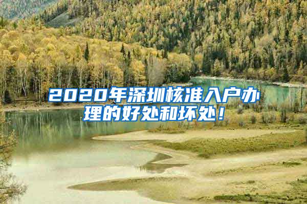 2020年深圳核准入户办理的好处和坏处！