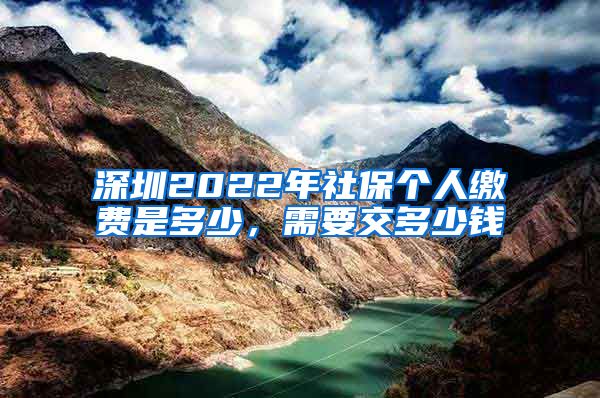 深圳2022年社保个人缴费是多少，需要交多少钱