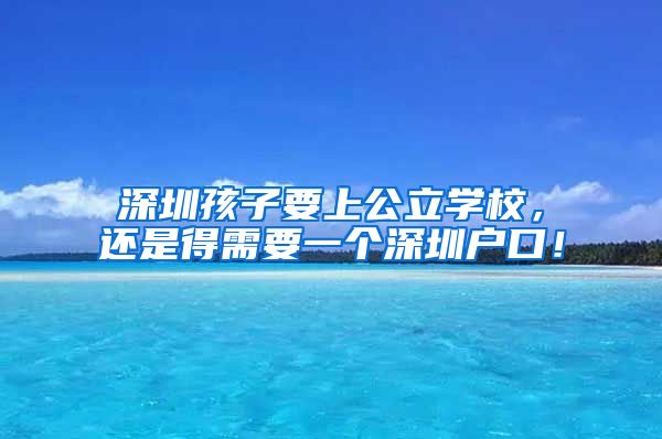 深圳孩子要上公立学校，还是得需要一个深圳户口！