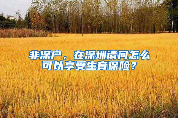 非深户，在深圳请问怎么可以享受生育保险？