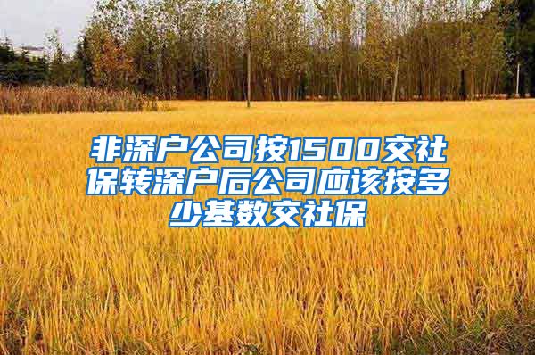 非深户公司按1500交社保转深户后公司应该按多少基数交社保