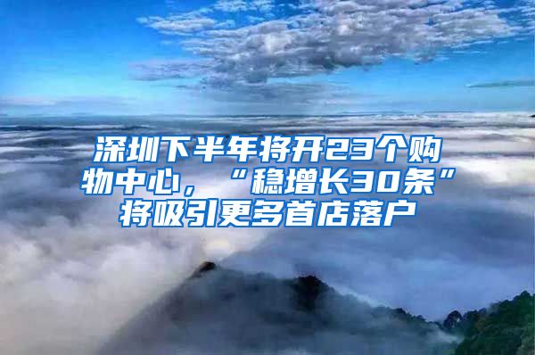 深圳下半年将开23个购物中心，“稳增长30条”将吸引更多首店落户