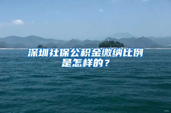 深圳社保公积金缴纳比例是怎样的？