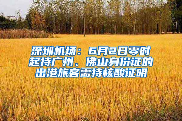 深圳机场：6月2日零时起持广州、佛山身份证的出港旅客需持核酸证明