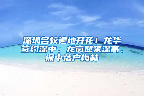 深圳名校遍地开花！龙华签约深中、龙岗迎来深高、深中落户梅林