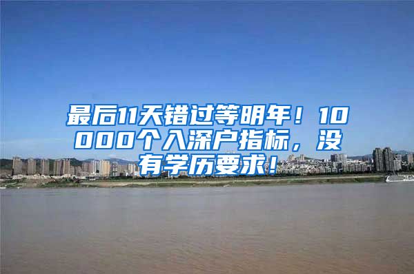 最后11天错过等明年！10000个入深户指标，没有学历要求！