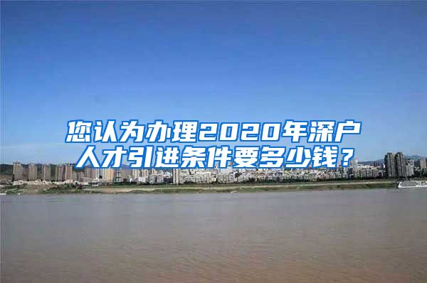 您认为办理2020年深户人才引进条件要多少钱？