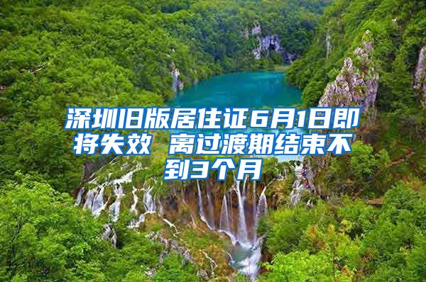 深圳旧版居住证6月1日即将失效 离过渡期结束不到3个月