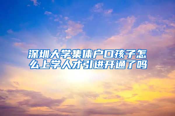 深圳大学集体户口孩子怎么上学人才引进开通了吗