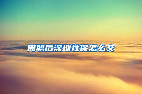 离职后深圳社保怎么交