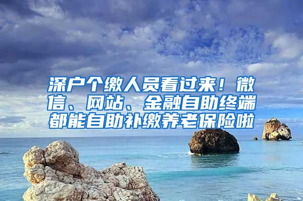 深户个缴人员看过来！微信、网站、金融自助终端都能自助补缴养老保险啦