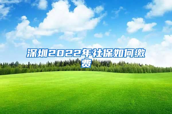 深圳2022年社保如何缴费