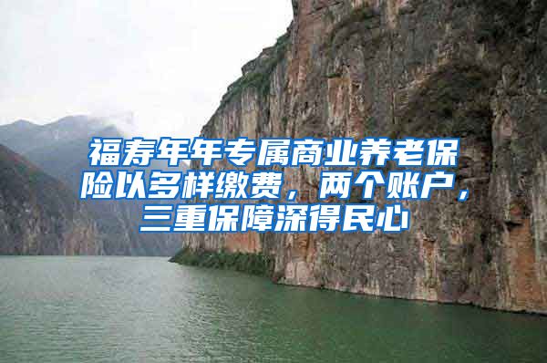 福寿年年专属商业养老保险以多样缴费，两个账户，三重保障深得民心