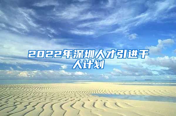 2022年深圳人才引进千人计划