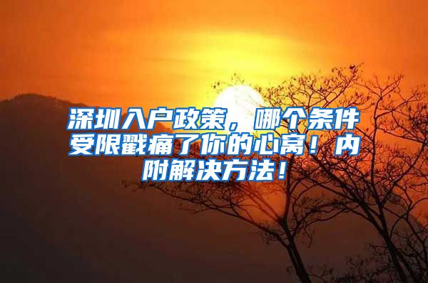 深圳入户政策，哪个条件受限戳痛了你的心窝！内附解决方法！