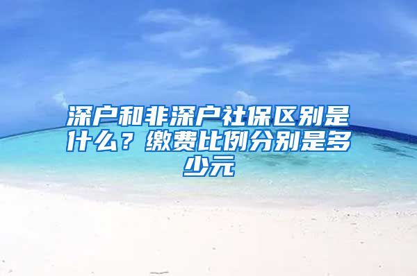 深户和非深户社保区别是什么？缴费比例分别是多少元