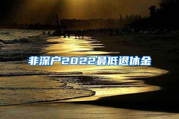 非深户2022最低退休金