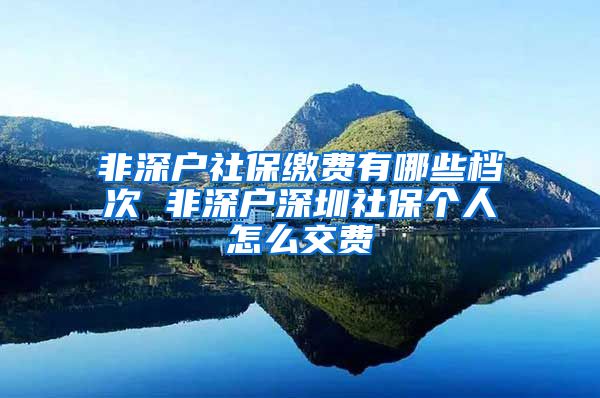 非深户社保缴费有哪些档次 非深户深圳社保个人怎么交费