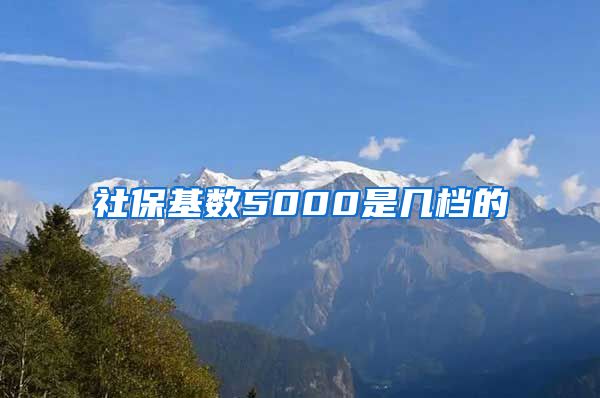 社保基数5000是几档的