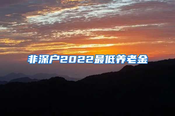 非深户2022最低养老金