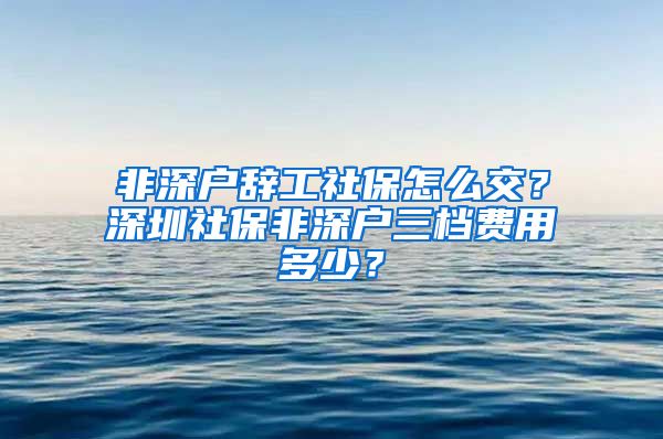 非深户辞工社保怎么交？深圳社保非深户三档费用多少？