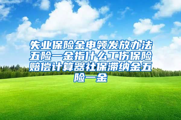 失业保险金申领发放办法五险一金指什么工伤保险赔偿计算器社保滞纳金五险一金