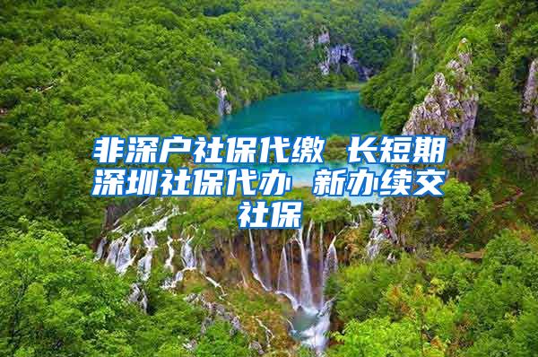 非深户社保代缴 长短期深圳社保代办 新办续交社保