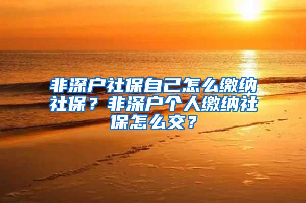 非深户社保自己怎么缴纳社保？非深户个人缴纳社保怎么交？