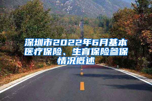 深圳市2022年6月基本医疗保险、生育保险参保情况概述