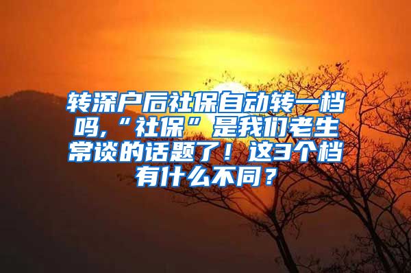 转深户后社保自动转一档吗,“社保”是我们老生常谈的话题了！这3个档有什么不同？