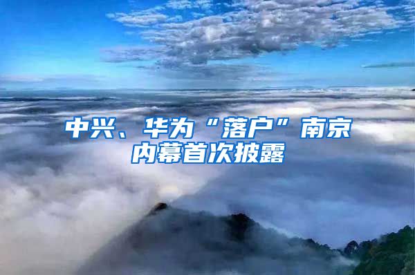 中兴、华为“落户”南京内幕首次披露