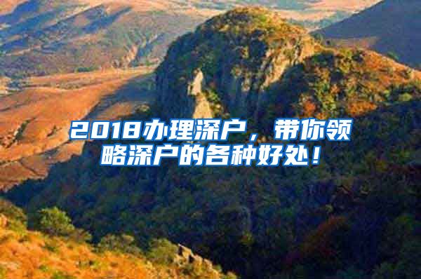 2018办理深户，带你领略深户的各种好处！