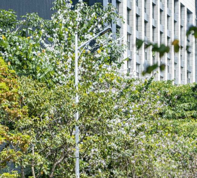 深圳新居住证