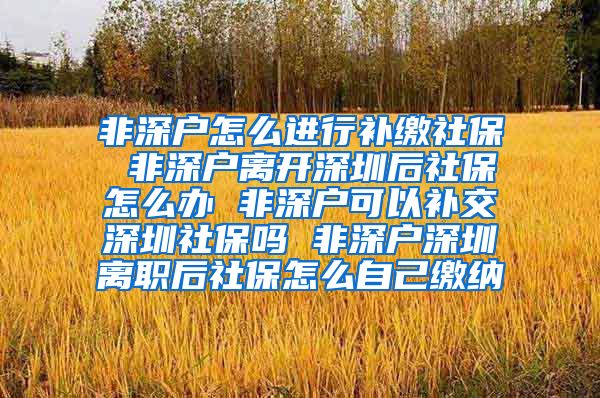 非深户怎么进行补缴社保 非深户离开深圳后社保怎么办 非深户可以补交深圳社保吗 非深户深圳离职后社保怎么自己缴纳