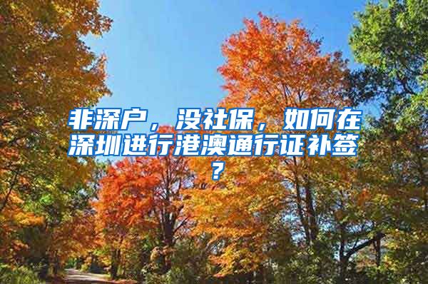 非深户，没社保，如何在深圳进行港澳通行证补签？