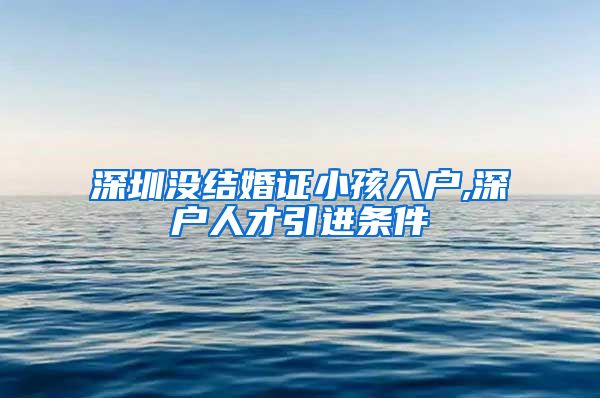 深圳没结婚证小孩入户,深户人才引进条件