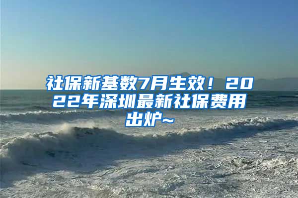 社保新基数7月生效！2022年深圳最新社保费用出炉~