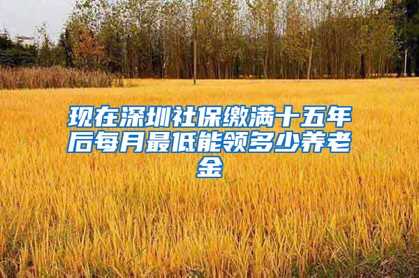 现在深圳社保缴满十五年后每月最低能领多少养老金