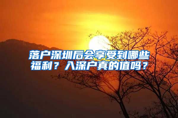 落户深圳后会享受到哪些福利？入深户真的值吗？