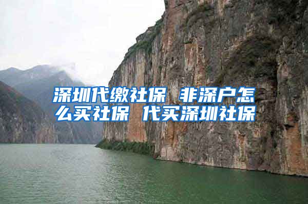 深圳代缴社保 非深户怎么买社保 代买深圳社保