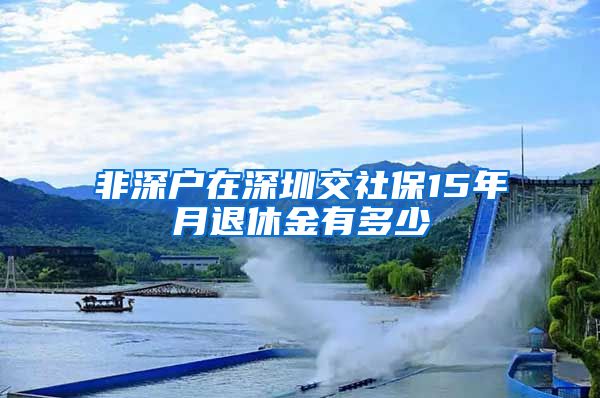 非深户在深圳交社保15年月退休金有多少