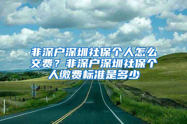 非深户深圳社保个人怎么交费？非深户深圳社保个人缴费标准是多少