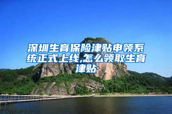 深圳生育保险津贴申领系统正式上线,怎么领取生育津贴