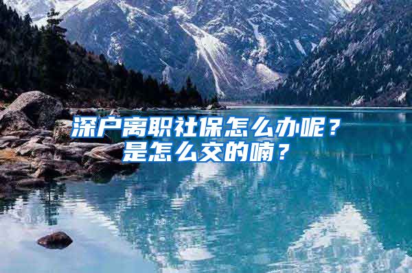 深户离职社保怎么办呢？是怎么交的喃？