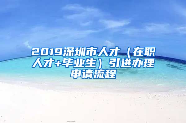 2019深圳市人才（在职人才+毕业生）引进办理申请流程