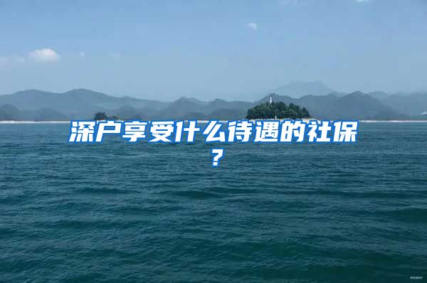 深户享受什么待遇的社保？