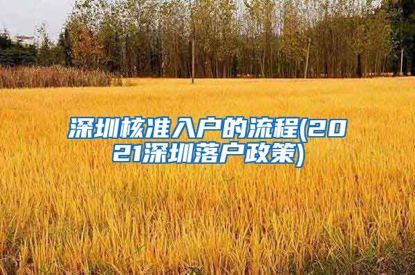 深圳核准入户的流程(2021深圳落户政策)