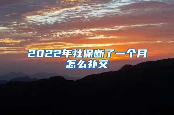 2022年社保断了一个月怎么补交